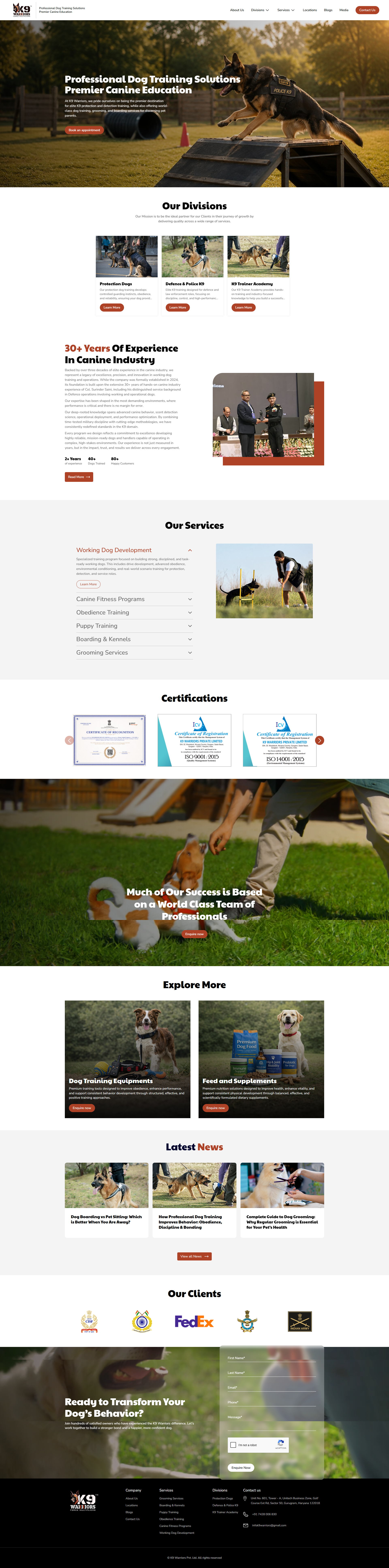 top web design agency